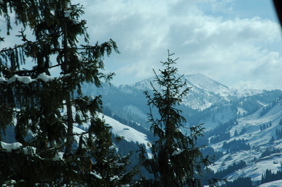 Swiss_0306.JPG