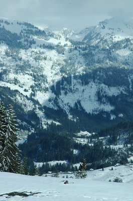 Swiss_0311.JPG