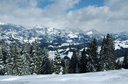 Swiss_0313.JPG