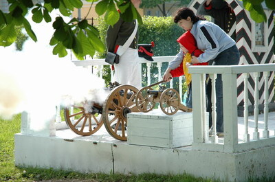 Стрельба из пушки
