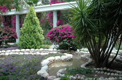 Keywords: цветы